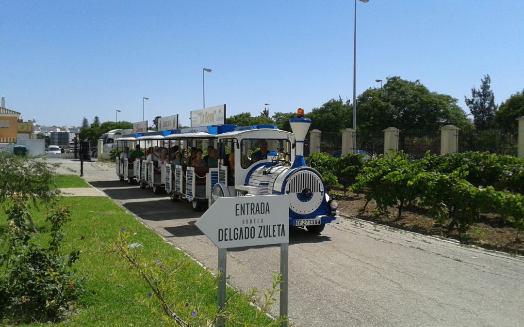 Vuelve el tren turístico de DELGADO ZULETA