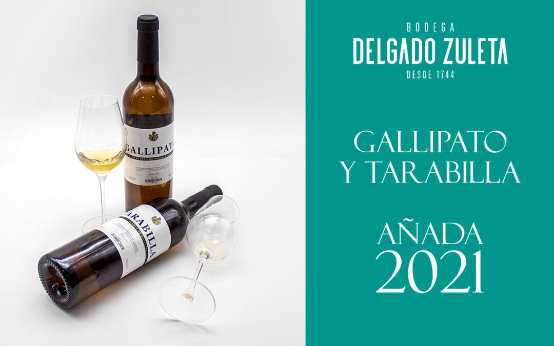 Nueva añada de Tarabilla y Gallipato, los blancos de crianza biológica de Delgado Zuleta