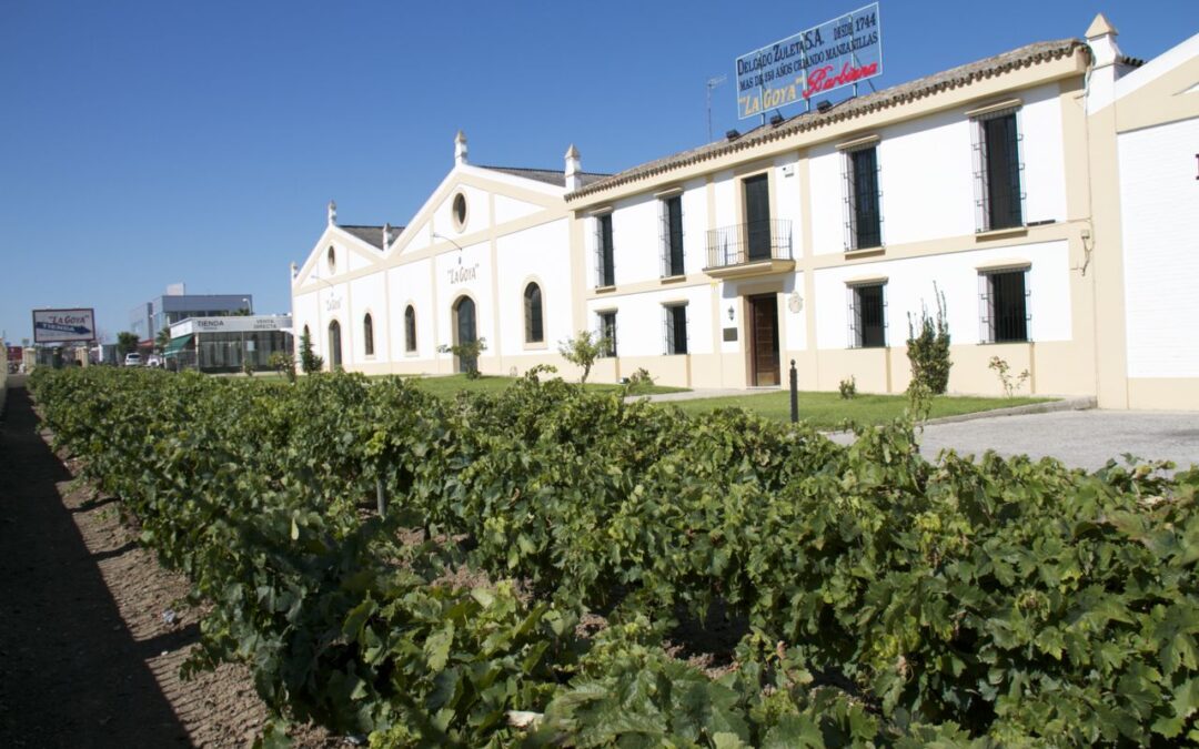 Taller de registro, saca y rocío para celebrar la ISW