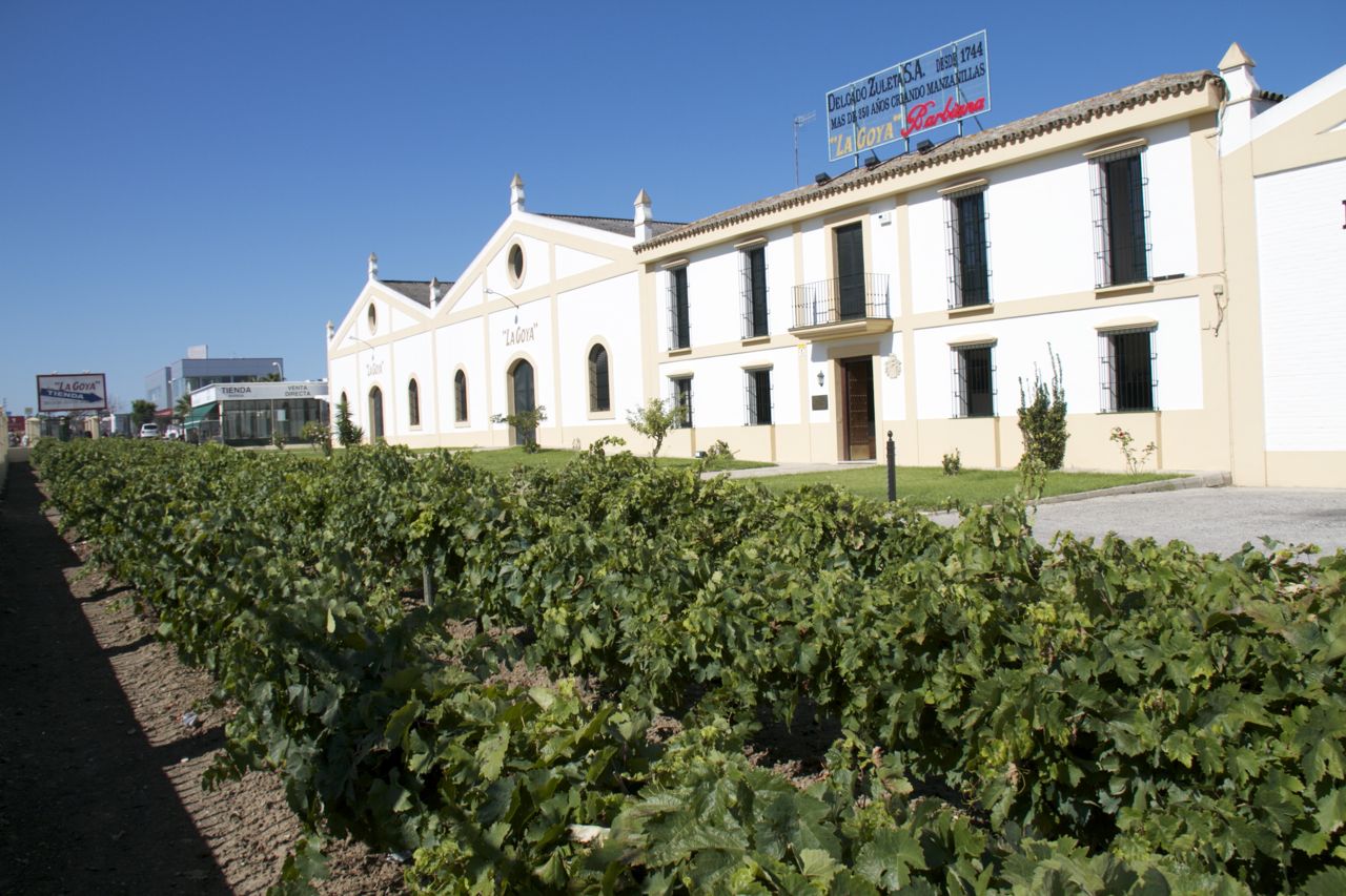 Taller de registro, saca y rocío para celebrar la ISW